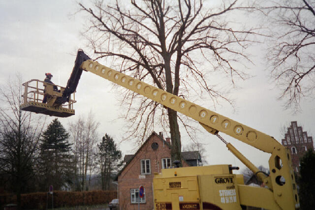 Her gøres der klar til at fjerne døde grene