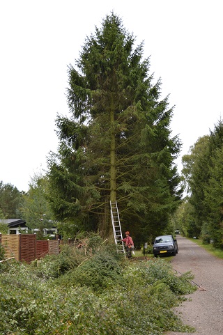 Grenaffaldet lægger sig i en lang kvasranke, klik for stort format